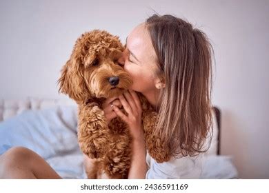 Image result for Cockapoo Girl