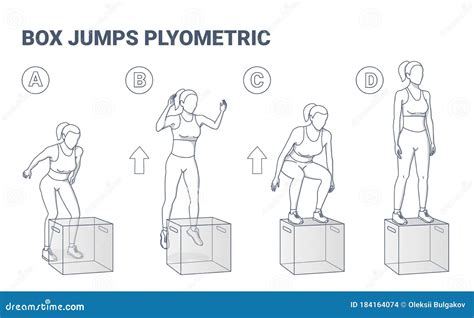 Woman Doing High Box Jumps Workout Exercise Illustration. Stock Vector ...