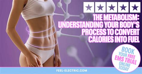 The Metabolism: Understanding Your Body’s Process to Convert Calories into Fuel | Feel Electric EMS