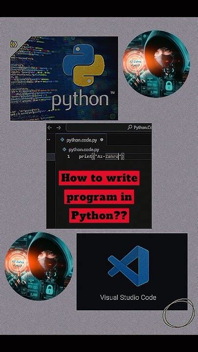 A Little Video of Python Programming 的图像结果