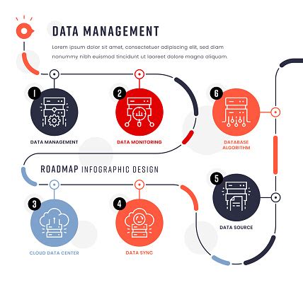 Data Management Process 的图像结果