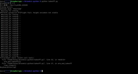 Dronekit Python Tutorial 的图像结果