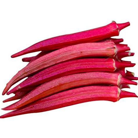 Buy Red Okra (Benda) Desi Vegetable Seeds ( Bendakaya ) | Sam's Garden ...