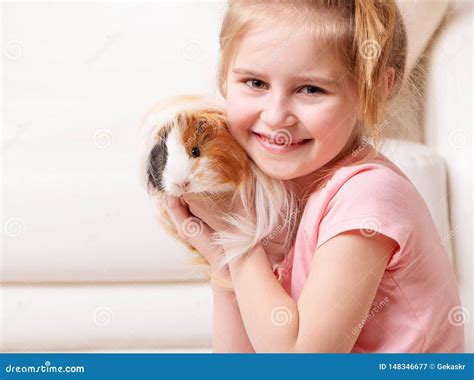 Child Having Fun with Guinea Pig Stock Image - Image of mammal, girl ...