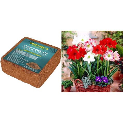 Kraft Seeds - Cocopeat Brick 1kg Block for Gardening & Plants, Expands ...