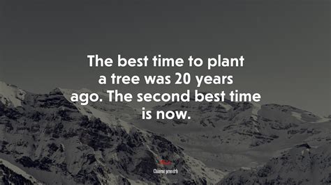 The best time to plant a tree was 20 years ago. The second best time is now. | Chinese proverb ...