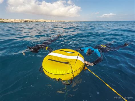 MAGMA FREEDIVING SCHOOL (2026) All You SHOULD Know Before Going (with ...