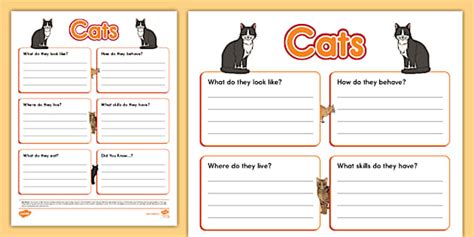 Cats Fact File Template (teacher made) - Twinkl