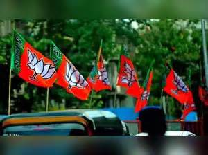 BJP terms its win in Daman local body polls a result of good governance ...