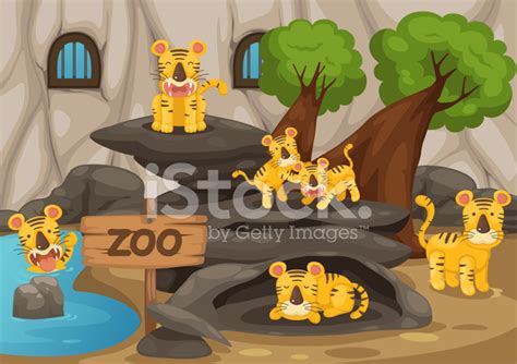 Barney Zoo Tiger 的图像结果