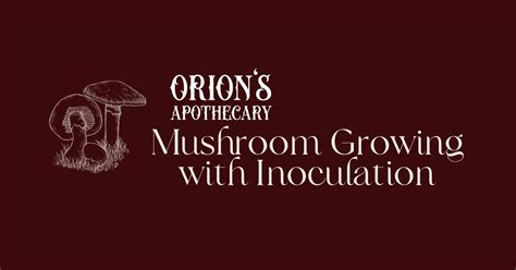 Mushroom Growing with Inoculation (Includes grow kit, liquid culture ...