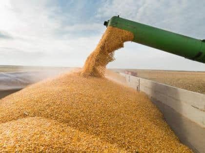Balochistan runs out of wheat, sends SOS - World News