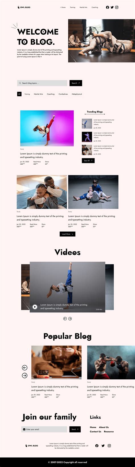 Image result for Blog Website Design