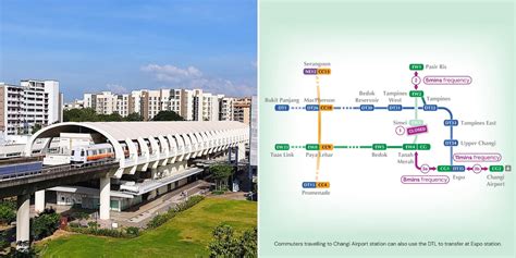Ser Local Train 的图像结果