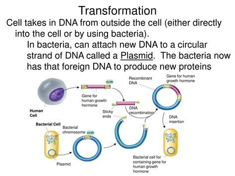 Cloning 的图像结果