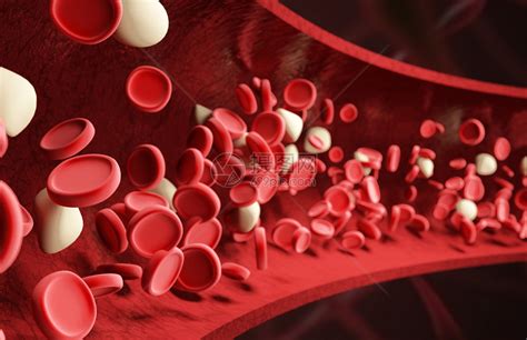 血红细胞血管场景图片素材-正版创意图片400139902-摄图网