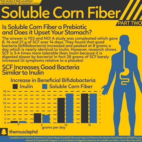 Infographics - The Muscle PhD