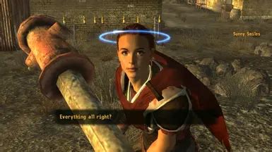 Image result for Fallout New Vegas Randomizer