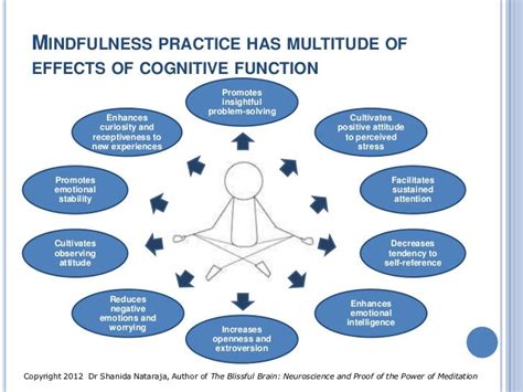 mindfulness meditation effects on brain