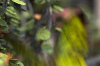 Image result for Computer Graphics MIT