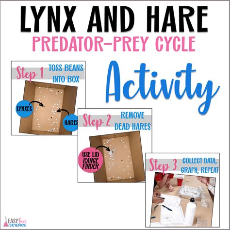 Image result for Predator-Prey Cycles