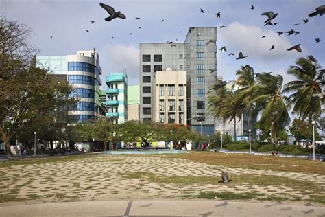 Image result for Passcode Male City