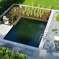 pool im garten bauen naturpool ganz klassisch und formal gestaltet pool im garten bauen naturpool ganz klassisch und formal gestaltet