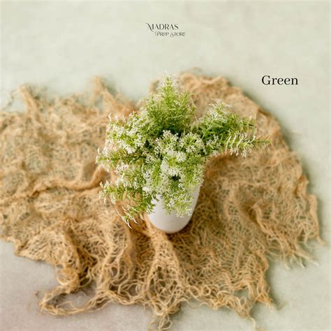 Snow White Theme – Madras Prop Store