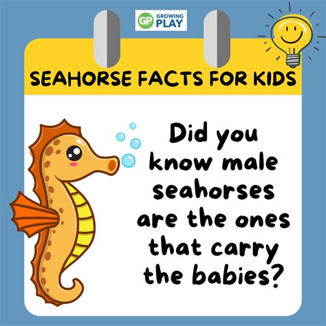Seahorse Facts for Kids - Growing Play
