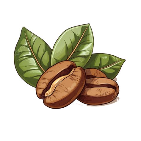 Coffee Beans Clipart