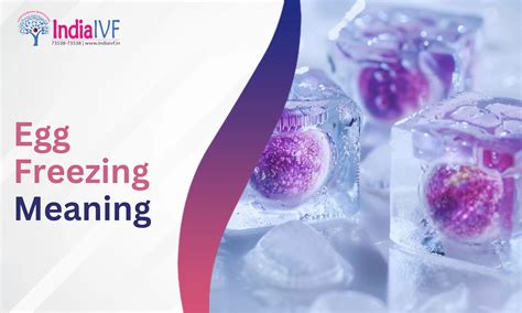 Egg Freezing Success Rates by Age - Personally Reviewed for Best Results