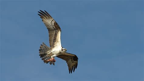 Cape Cod weather forecast: Will temperatures rise above 50 degrees?