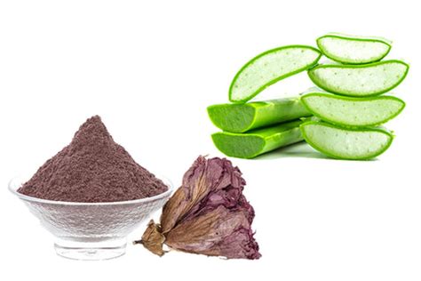 Homemade Hibiscus Hair Packs: 7 Easy DIY Recipes For Hair Growth – VedaOils