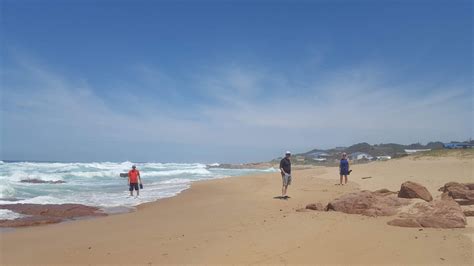 Image result for Perly Shells