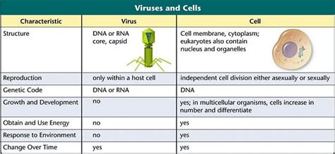 NCERT Solutions Class 11 Biology Chapter 2 - Biological Classification