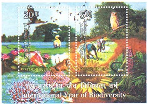 India 2010 International Year of BIODIVERSITY Stamp MS Miniature Sheet ...