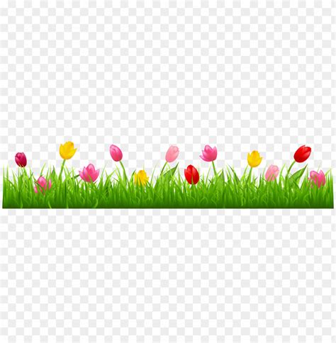 Image result for Spring Picture Border Texture PNG