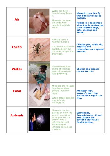 Pathogen 的图像结果
