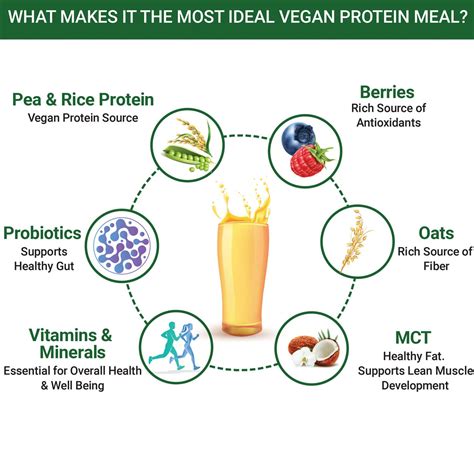 Buy INLIFE VEGAN PLANT BASED PROTEIN POWDER NUTRITIONAL MEAL ...