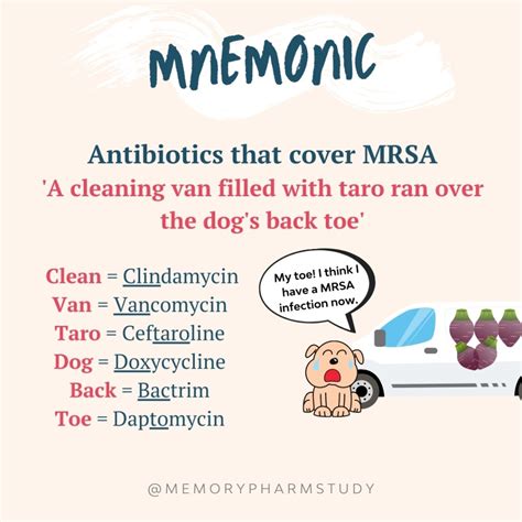 Antibiotics that cover anaerobes – Memory Pharm