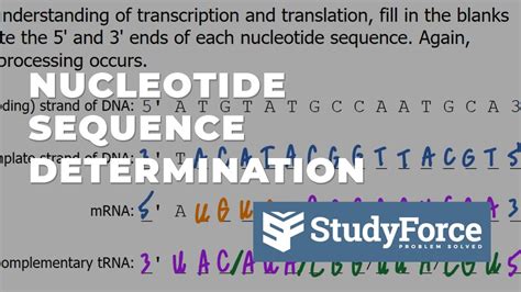 RNA Nucleotide Structure 的图像结果