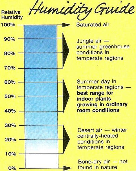 Image result for Humidity in Plants