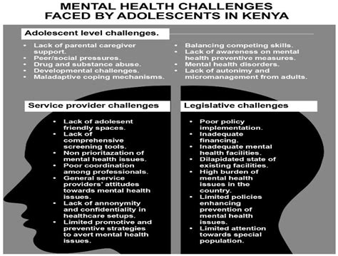 Voices from the Youth in Kenya Addressing Mental Health Gaps and ...