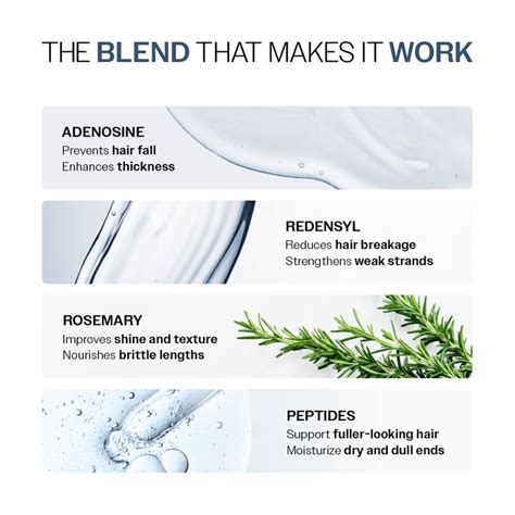 Anti Hair Fall Shampoo & Conditioner Combo | Bare Anatomy – Innovist