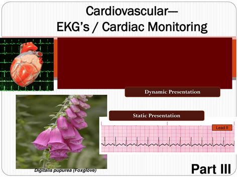 Image result for ACLS Post Cardiac Algorithm