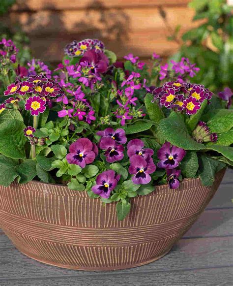 Spring Break Cancun Mix