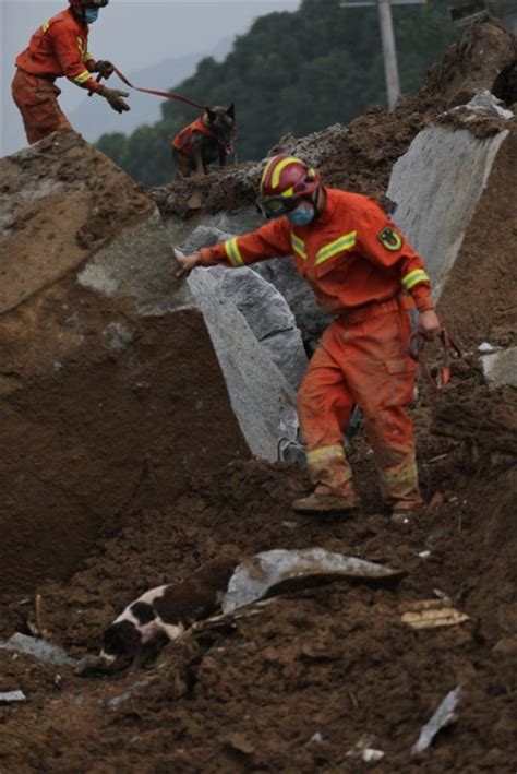 湖北黄梅山体滑坡被埋9人已全部搜救出 仅1人生还_手机新浪网