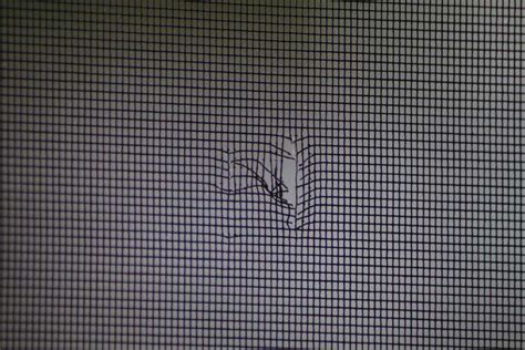 Image result for Window Screen Repair Service