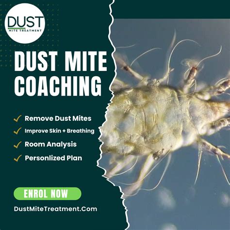 Dust Mites On Skin and How To Get Rid Of Them – iDustMite
