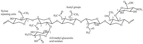 Hemicellulosic Biogels: A Fundamentally New Sustainable Platform ...